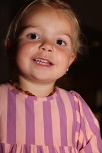 IMG 1949