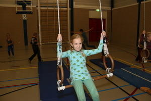 IMG 0960