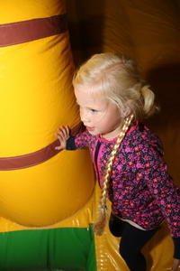 IMG 8993