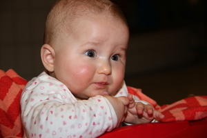 IMG 9639