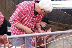 IMG 4558