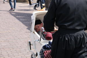 IMG 4674