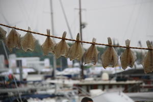 IMG 3886