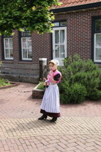 IMG 4771