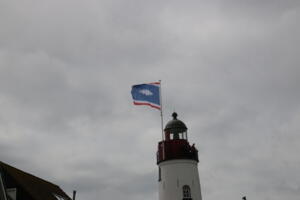 IMG 6527