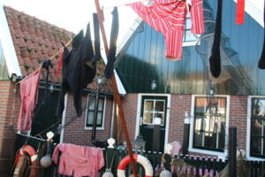 IMG 6064