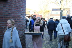 IMG 6114