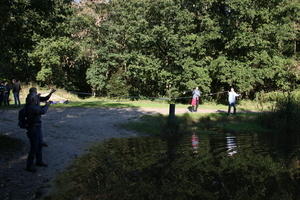 IMG 5678
