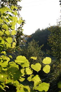 IMG 5739